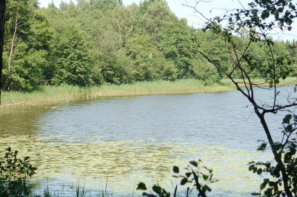 Puszcza Romincka Villa Galwiecie Bagian luar foto